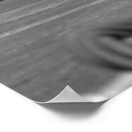 Skyraider Poster (Hoek)