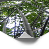 Skyward Bamboo Poster (Hoek)