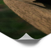 Skyward Snack Olifant's Opwaarts Bereik Poster (Hoek)