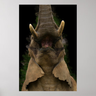 Skyward Snack Olifant's Opwaarts Bereik Poster