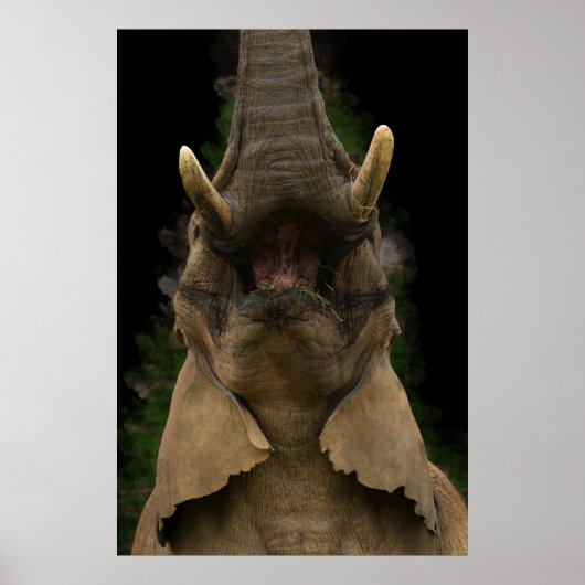 Skyward Snack Olifant's Opwaarts Bereik Poster (Voorkant)