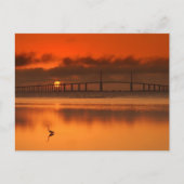 Skyway Bridge Briefkaart (Voorkant)