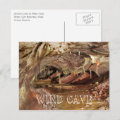 Skyway Lake, Wind Cave Nationaal Park Briefkaart (Voorkant / Achterkant)
