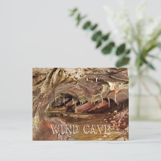 Skyway Lake, Wind Cave Nationaal Park Briefkaart (Staand voorkant)