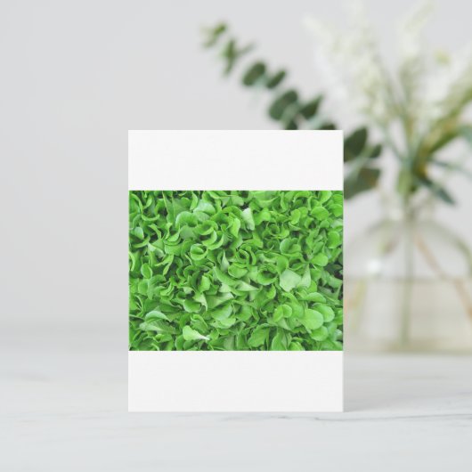 sla briefkaart (Staand voorkant)