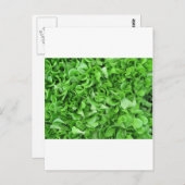 sla briefkaart (Voorkant / Achterkant)