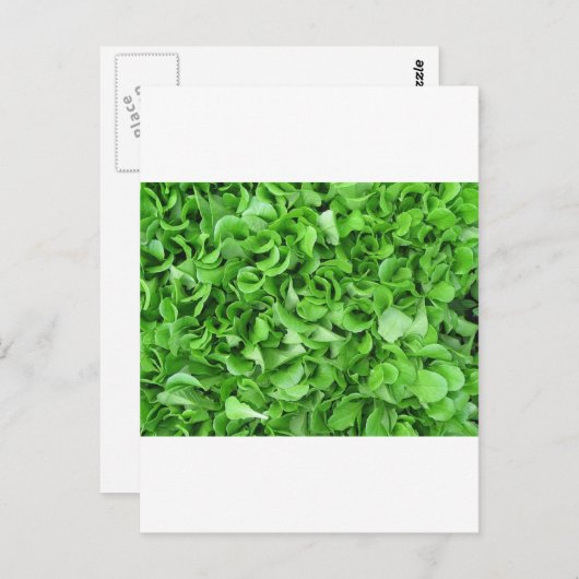 sla briefkaart (Voorkant / Achterkant)