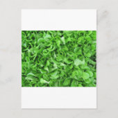 sla briefkaart (Voorkant)