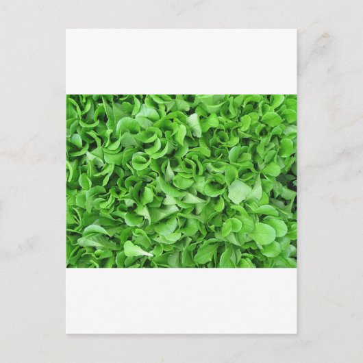 sla briefkaart (Voorkant)