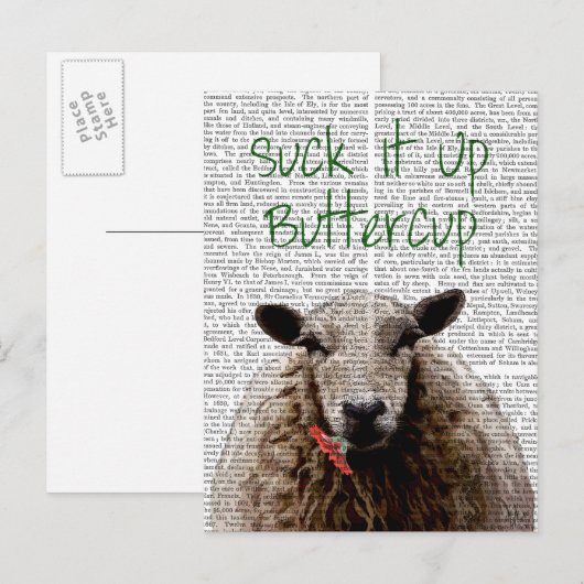 Sla Buttercup op Briefkaart (Voorkant / Achterkant)