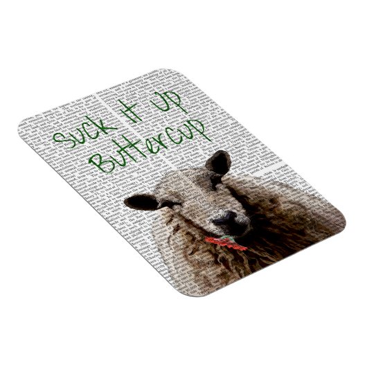 Sla Buttercup op Magneet (Rechterzijde)