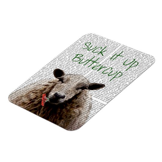 Sla Buttercup op Magneet (Linkerzijde)