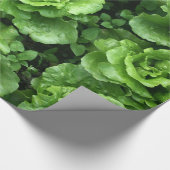 sla cadeaupapier (Hoek)