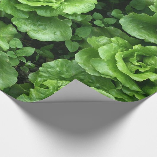 sla cadeaupapier (Hoek)