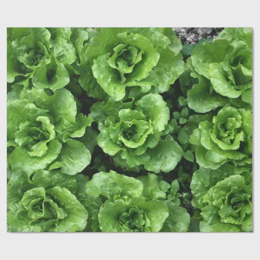 sla cadeaupapier (Vlak)