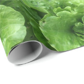 sla cadeaupapier (Rol Hoek)