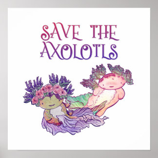 Sla de Axolotls op, Axolotl, Salamander-Poster Poster
