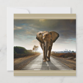 Sla de bedreigde Olifant Hi-Def Print Kaart op