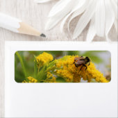 Sla de bijen op etiket (Insitu)