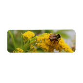 Sla de bijen op etiket (Voorkant)