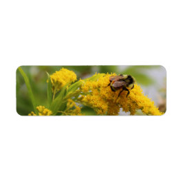 Sla de bijen op etiket