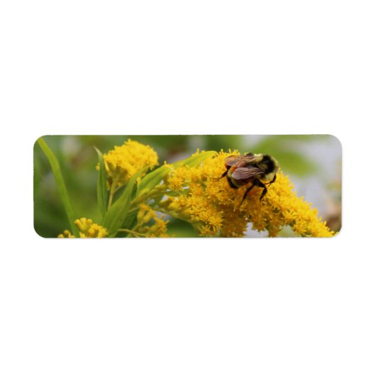 Sla de bijen op etiket (Voorkant)