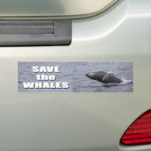 Sla de bumper voor walvissen op bumpersticker (Op auto)