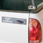 Sla de bumper voor walvissen op bumpersticker (Op Truck)