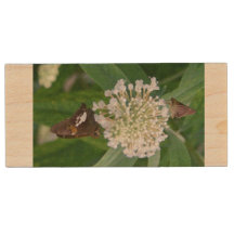 Sla de Butterflies USB Flash Drive op