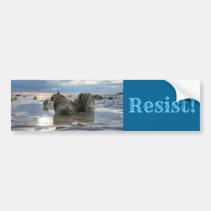 Sla de Chesapeake Bay op! Bumpersticker