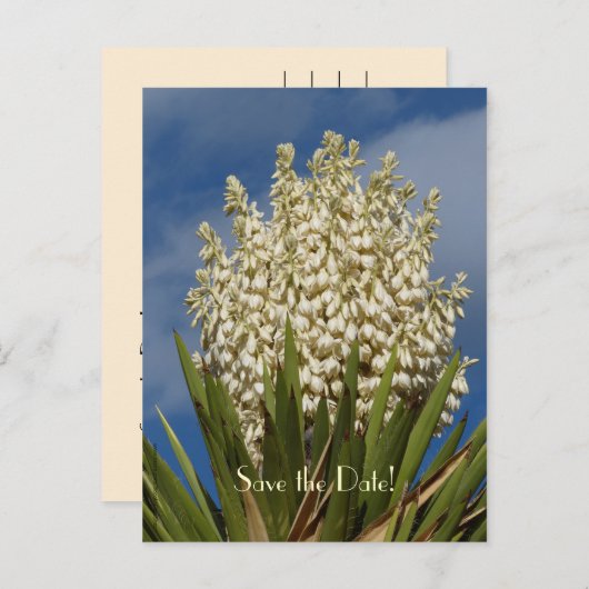 Sla de datum 80ste verjaardag Briefkaart (Voorkant / Achterkant)