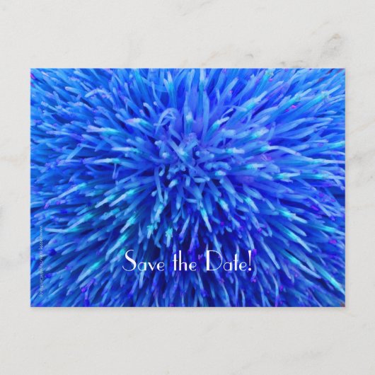 Sla de datum 90ste verjaardagsfeestje op, Blauw Ab Aankondigingskaart (Voorkant)