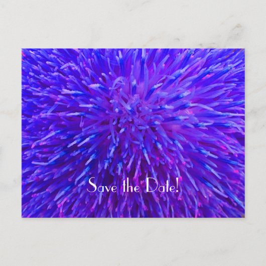 Sla de datum 90ste verjaardagsfeestje op, Paarse A Aankondigingskaart (Voorkant)