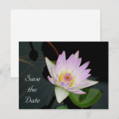 Sla de datum aankondiging briefkaart (Voorkant / Achterkant)