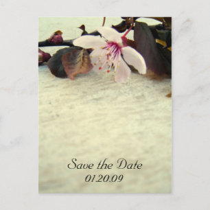 Sla de datum Cherry Blossom Briefkaart