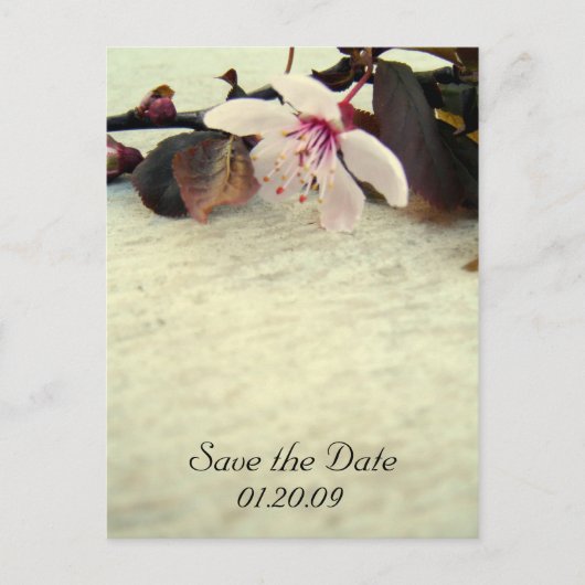 Sla de datum  Cherry Blossom Briefkaart (Voorkant)