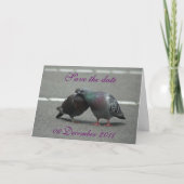 sla de datum met duiven op aankondiging (Voorkant)