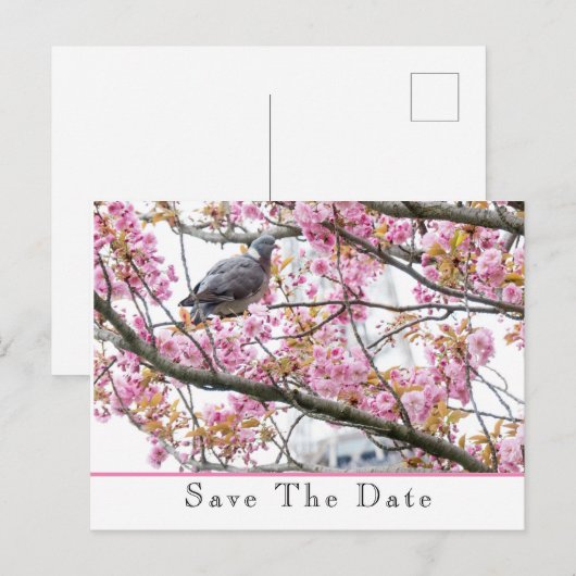 Sla de datum op aankondigingskaart (Voorkant / Achterkant)