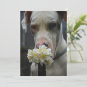 Sla de datum op: nieuw strooisel verwacht kaart (Staand voorkant)