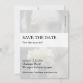 Sla de datum op: nieuw strooisel verwacht kaart (Achterkant)