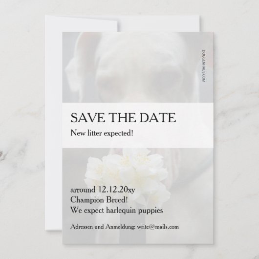 Sla de datum op: nieuw strooisel verwacht kaart (Achterkant)