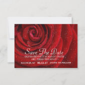Sla de datum op - Red Rose Floral gestructureerd Save The Date (Voorkant)