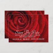 Sla de datum op - Red Rose Floral gestructureerd Save The Date (Voorkant / Achterkant)