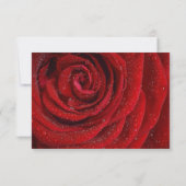 Sla de datum op - Red Rose Textured Save The Date (Achterkant)