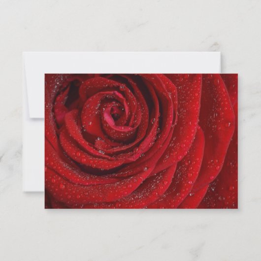 Sla de datum op - Red Rose Textured Save The Date (Achterkant)