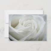 Sla de datum op - Roos Wit getextureerd Save The Date (Achterkant)