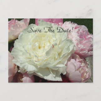 Sla de datum op White Pink Peonies / Pink Peony Po Aankondigingskaart