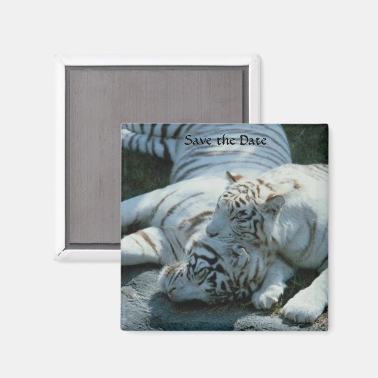 Sla de datum op Witte Tijger Magneten (Voorkant / Achterkant)