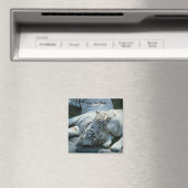 Sla de datum op Witte Tijger Magneten (Insitu (Vaatwasser))