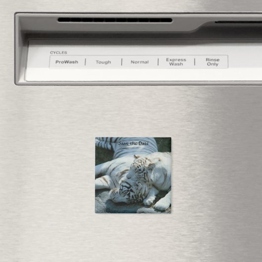 Sla de datum op Witte Tijger Magneten (Insitu (Vaatwasser))